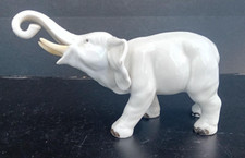 Elefante porcellana bianca usato  Napoli