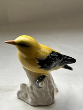 Vogel pirol goebel gebraucht kaufen  Eschenbach i.d. OPf., Speinhart