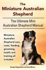 Miniature australian shepherd. for sale  Kalispell