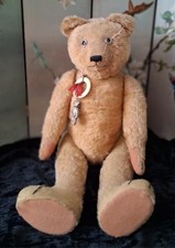 Antique pintel teddy for sale  MELROSE