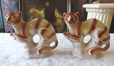 Vintage tasmanen tiger for sale  Portland