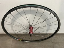 Brubz sunn mtb gebraucht kaufen  Nürnberg