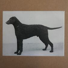 Greetings gift card for sale  CARNFORTH