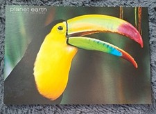 Vogel postkarte 2011 gebraucht kaufen  Hamburg
