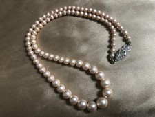 Vintage rosita graduated for sale Vintage rosita graduated for sale  BLAENAU FFESTINIOG