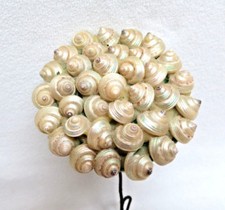Vintage 1940 flower for sale  Palm Desert