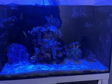 Marine tank salt for sale  BIRMINGHAM
