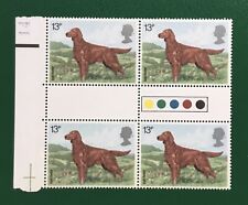 Irish setter red for sale  KINGS LANGLEY