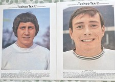 Derby county typhoo for sale Derby county typhoo for sale  LOWESTOFT