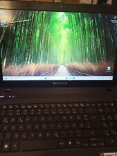 Packard bell tk85 gebraucht kaufen  Neukirch/Lausitz, Steinigtwolmsdorf