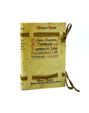 Dilettante legatore libri usato  Roma