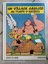 Asterix village gaulois d'occasion  Colmar