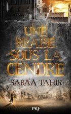 Braise cendre sabaa d'occasion  Hennebont