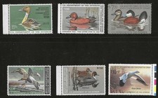 Different mnh duck for sale  Torrance