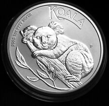 Australian koala 2025 gebraucht kaufen  Porta Westfalica