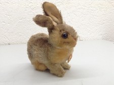 Steiff hase pummy gebraucht kaufen  Deutschland