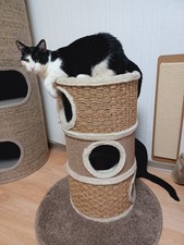 Katzenkratztonne höhlen klein gebraucht kaufen  Duisburg