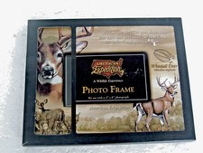 White tail deer for sale  Aurora