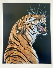 Tiger art print for sale  Binghamton