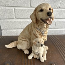 golden retriever pups for sale golden retriever pups for sale BIRMINGHAM