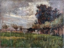 Alberto grosso paesaggio usato  Barge