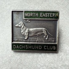North eastern dachshund for sale  NEWPORT