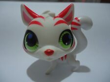 Petshop tigre 3054 d'occasion  Bailleul