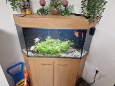 Verkaufe 180 liter gebraucht kaufen Verkaufe 180 liter gebraucht kaufen  Freinsheim
