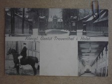 Traventhal königliches gestü gebraucht kaufen  Glücksburg