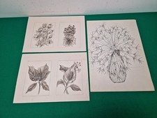 Bundle still life for sale  LEOMINSTER