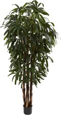 Nearly natural 6ft. for sale  San Francisco