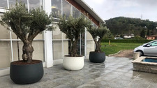 Vaso urbano acaya usato  Maddaloni