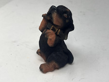 Black tan dachshund for sale  Cypress