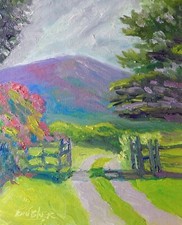 Pink mountain gate for sale  Cottage Grove