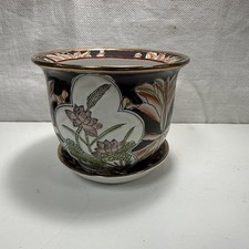 4.5 asian flower for sale  Sisseton