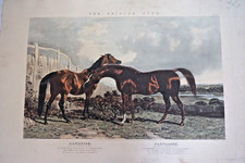 Herring 1815 1907 d'occasion  Périgueux