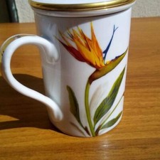 Tazza tisaniera strelizia usato  Bologna