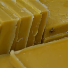 2kg beeswax slab for sale  PLYMOUTH