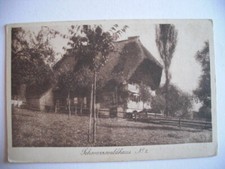 Alte schwarzwaldhaus schwarzwa gebraucht kaufen  Neu-Ulm