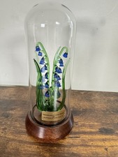 horticultural glass for sale horticultural glass for sale SUDBURY