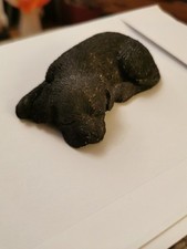 sandicast dog for sale sandicast dog for sale WINSFORD