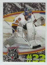 2007 chicago wolves usato  Spedire a Italy
