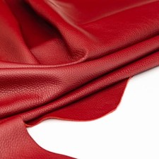 Dickleder rot feuerrot gebraucht kaufen  Hamburg