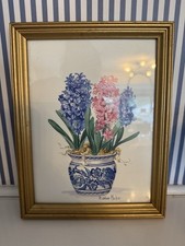 Barbara mock hyacinth for sale  Tonawanda