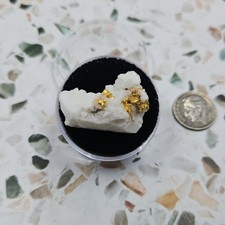 Natural australian gold for sale  Brookline