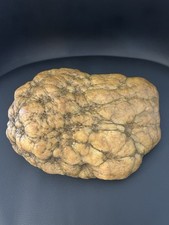 Large unopened geode for sale  Coxs Creek