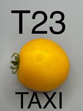 Graine seed tomate d'occasion  La Pacaudière
