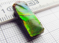 Ammolite ammolit kanada gebraucht kaufen  Immenhausen