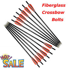Zoll armbrustpfeile fiberglasp gebraucht kaufen  Langenlonsheim