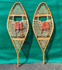 Nice snowshoes 42x14 for sale  Newport
